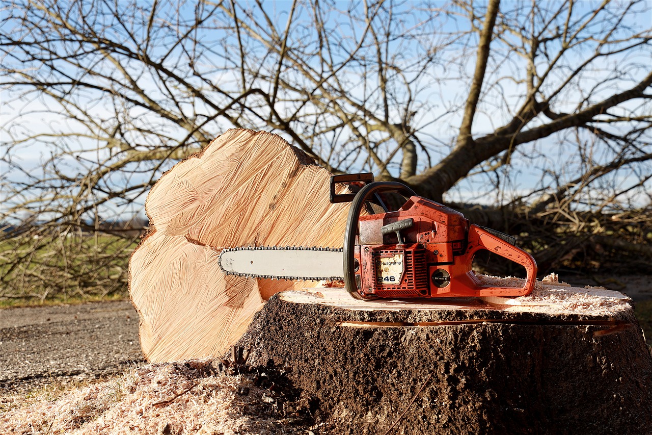 Woodworking Hack: Tackle Splitting With These Tips